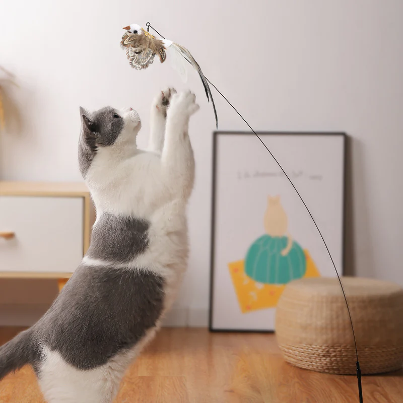 Bird interactive Cat Toy - Image 4